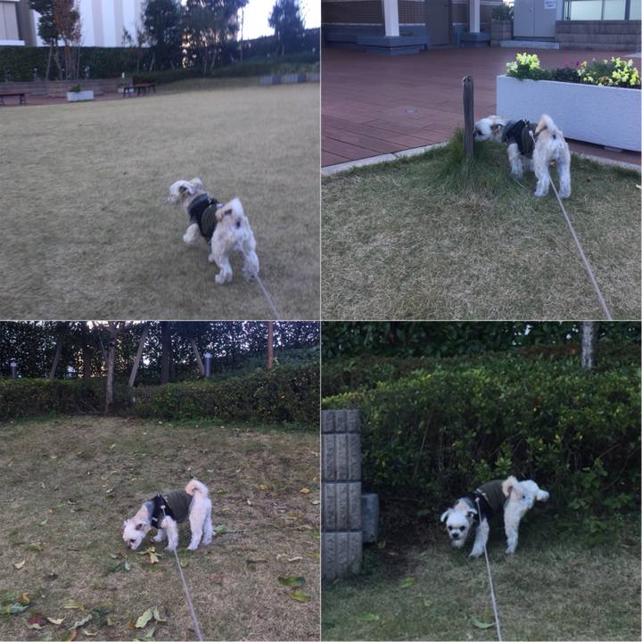 2ba0ae7a 372d 4ab6 9294 a32698687477 1542947242984