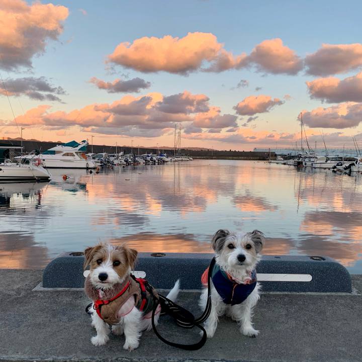 2ba0b8e8 7c41 4ccb a26f d49c932f1495 1769158594530