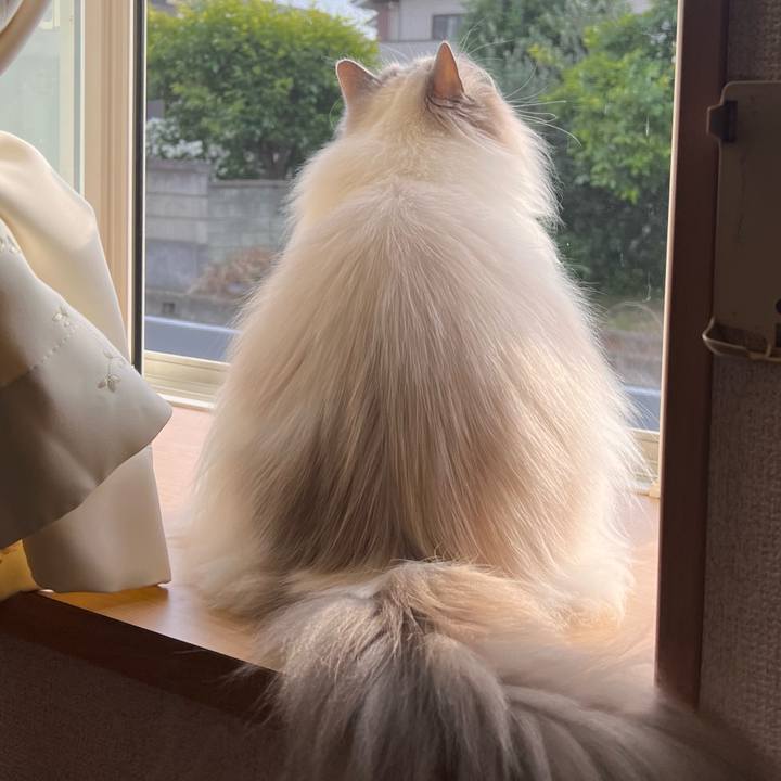 2ba0edee 57b6 4d56 9b41 62290a7bfdec 1716550568054