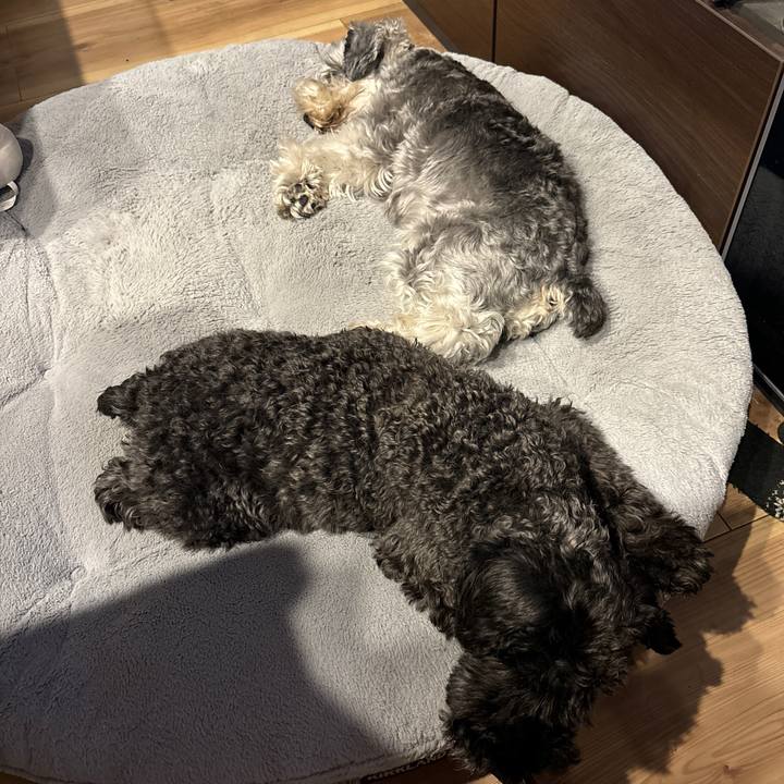 2ba103ca be4b 40ed 8355 dc2854a0a6b5 1696581628989