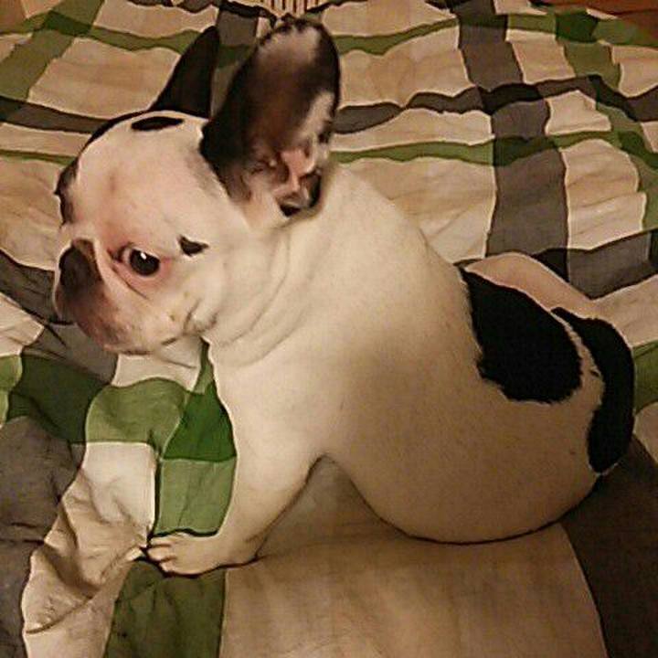 2ba10678 4a51 4bc5 a750 5679aaf7e513 1531132810158