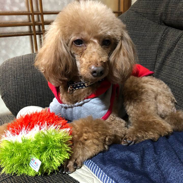 2ba10ac3 671e 4abb a6b3 994027522963 1619460813670