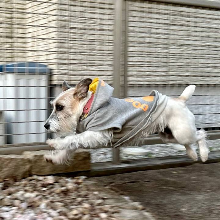 2ba17ebd 591c 48c7 afb7 db92b35cebb7 1702008050464