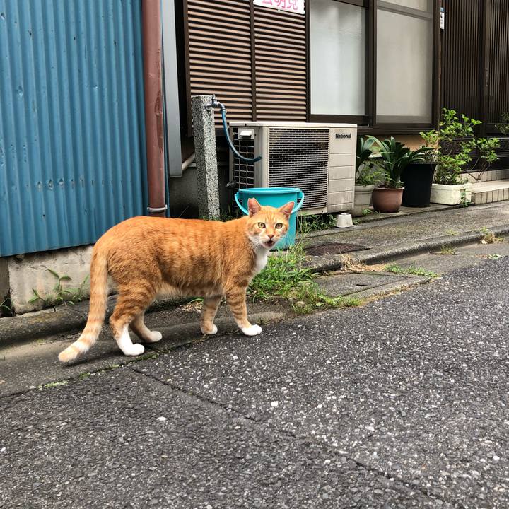 2ba18a1d 14e7 49b0 af0a 96c3fba7e140 1594648748448