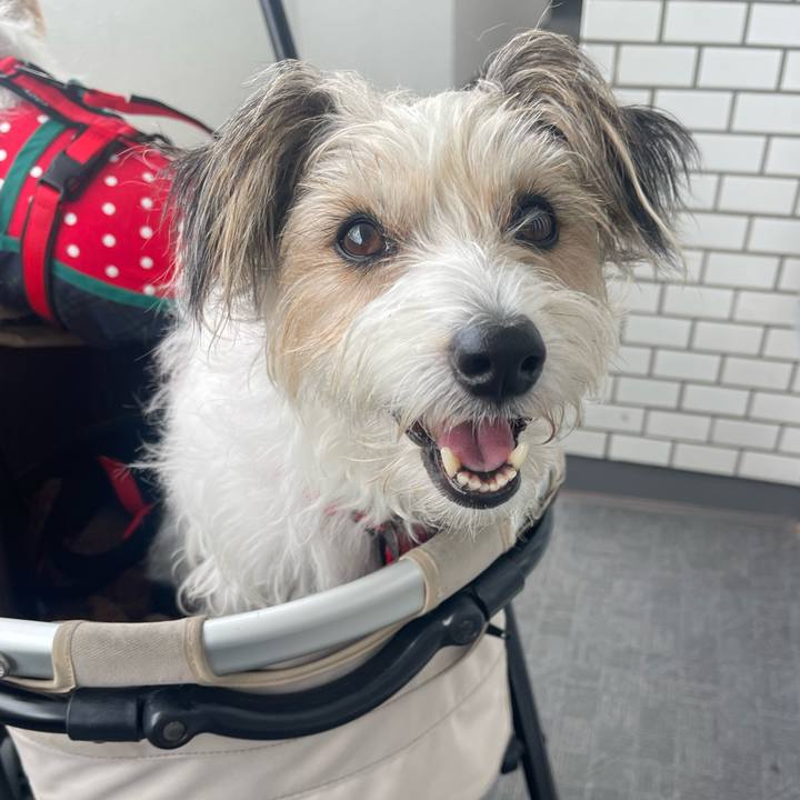 2ba1a5fc 1467 4ba9 b778 a64d80b705f8 1759024363759