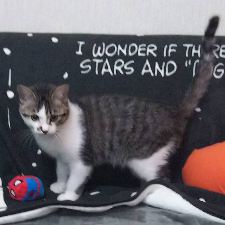 2ba1c5d6 c24f 4d43 9089 a7093f81e1d3 1612261206412