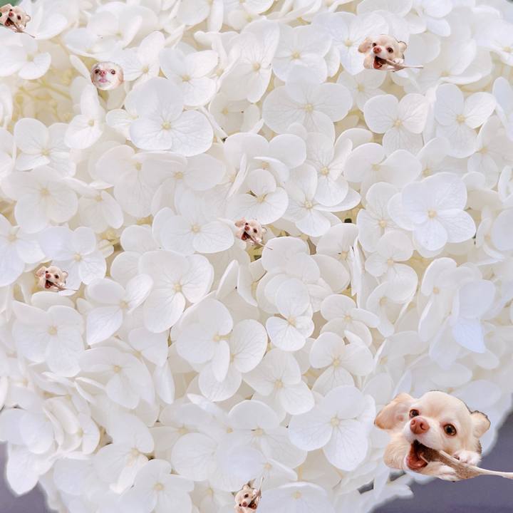 2ba1dfe5 9daa 4060 9a41 bcda60188119 1654346792955