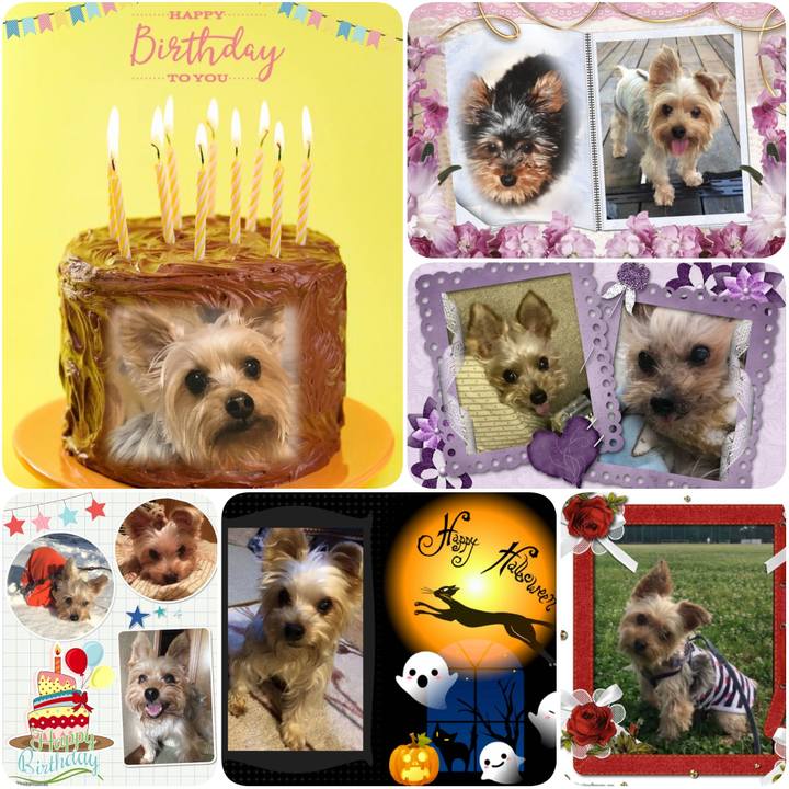 2ba1ec0b 9b75 484a 98e0 46885a0b56da 1633689198102