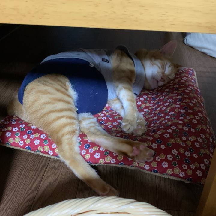 2ba21cb9 65b8 499d 8f8c 7f5f4dad5aff 1616156906301