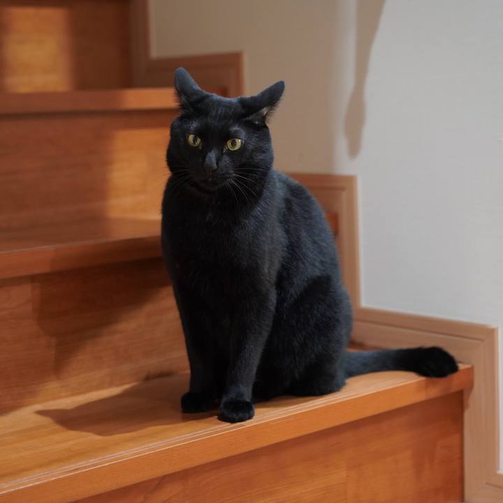 2ba247c2 6d81 447a 9f3f f48301afb484 1576453979597