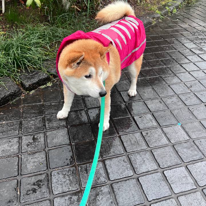 2ba251d2 a5ca 4239 9293 bc09fbe070c1 1710221184160