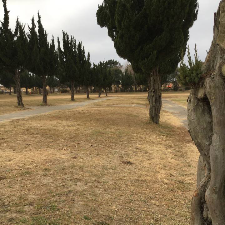 2ba28924 811f 4d9d b1d3 98787339cfb3 1610688230664