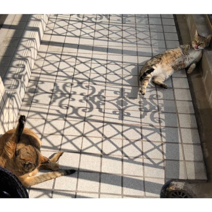 2ba29b36 a801 4386 a567 1c249bbabd53 1611894016831