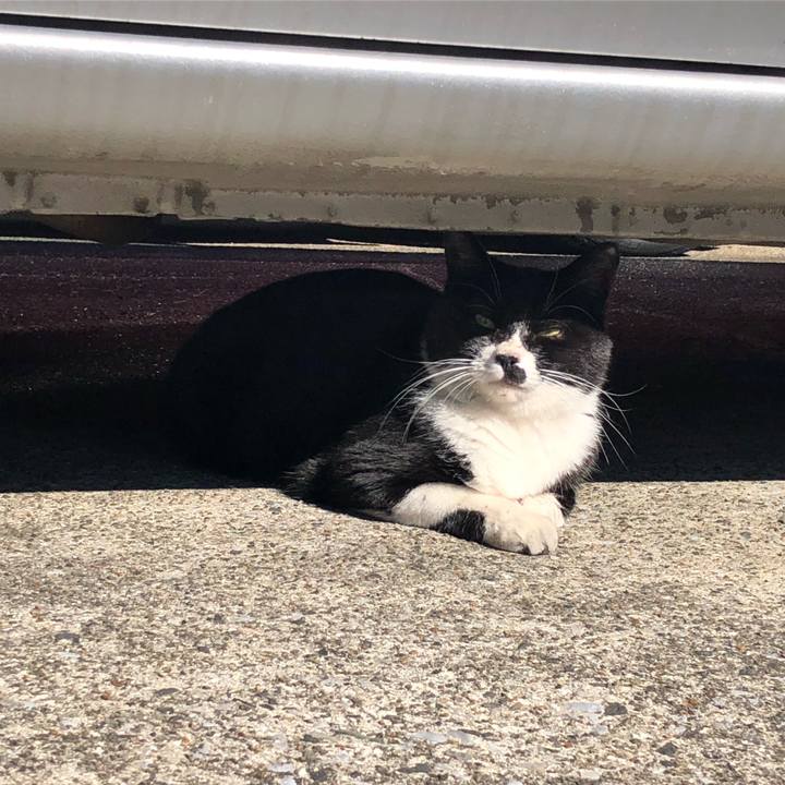 2ba2aa3d a750 428d ab15 d08409ea7a3e 1542311611031