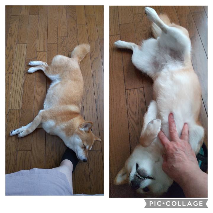 2ba2ef0f 8209 4bfb a650 66e87618f1d0 1718087611118