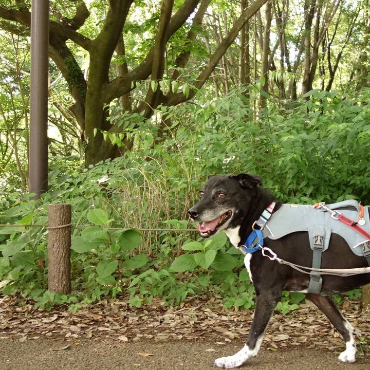 2ba2f0b9 af6f 4e61 b785 db2622fa5055 1749171479829