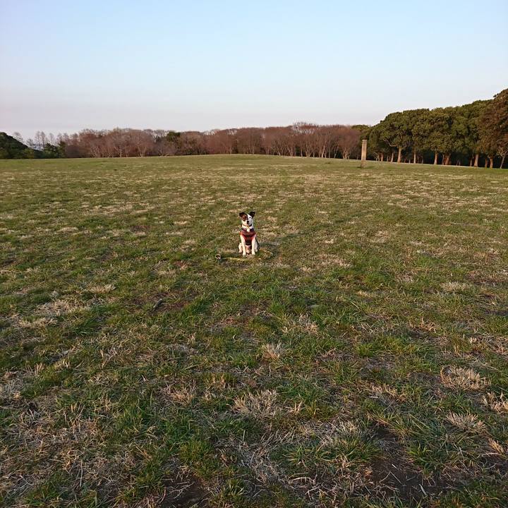 2ba35e23 9f2f 48ac bc2d b98dd3bc35ff 1521275165176