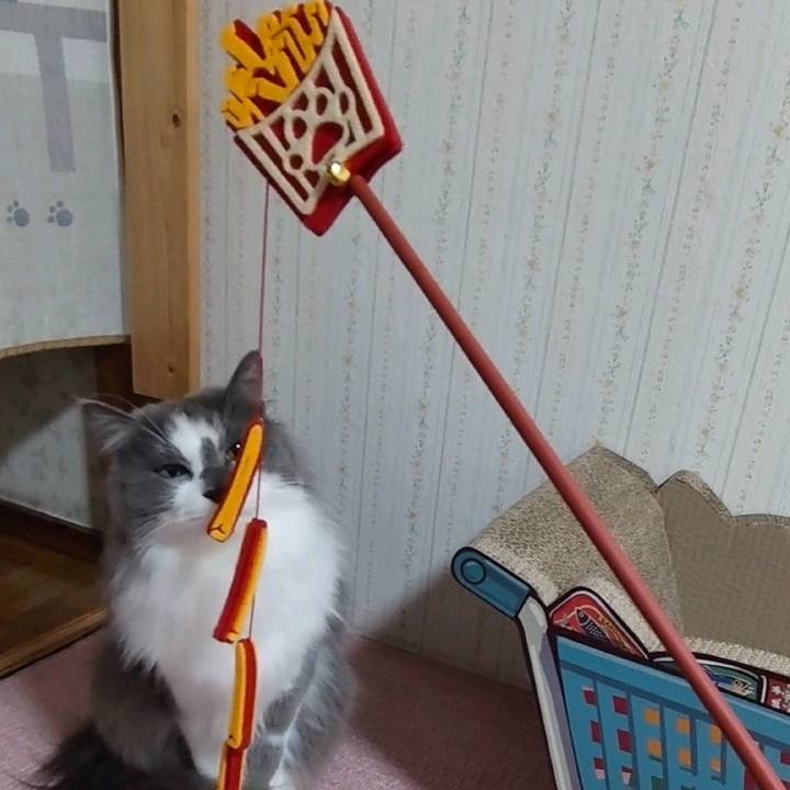 2ba38e34 6c3c 4f3b 8a7a 5ff2ed74ab1b 1642419344558