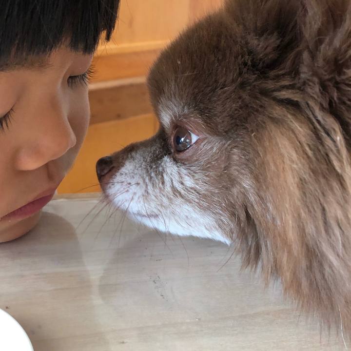 2ba3925e cd5b 426c b1a3 4a43997951a0 1609909144653