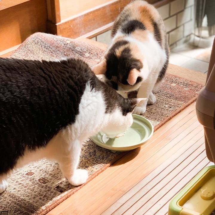 2ba3b187 a5cd 400e b004 420a5c5ffff3 1565139351317