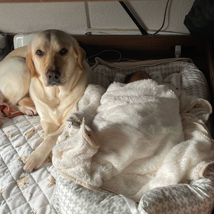 2ba3b657 8115 41b3 9eb6 b702ea9cc1a9 1712030648347