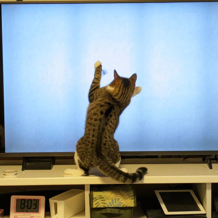 2ba3bf7f 0335 45e0 ad16 aa932ad8b1ee 1701041519036