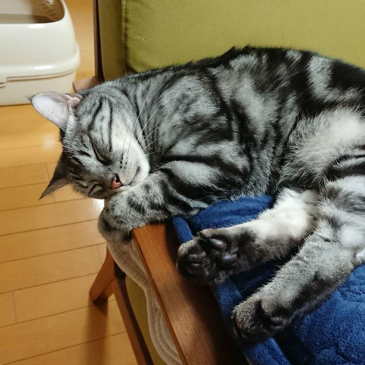 2ba40dd1 4c34 4395 b9df 659102d0f767 1543315103126