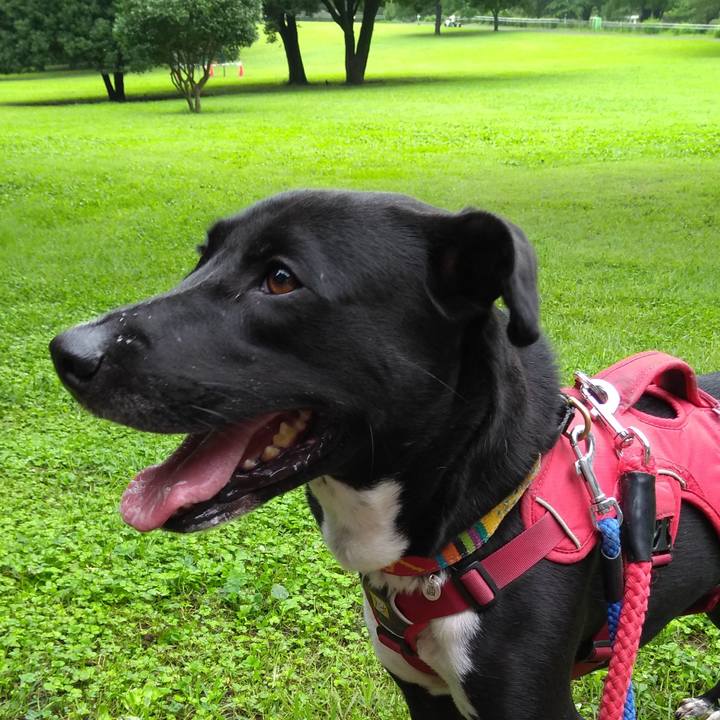 2ba41453 1bf5 4ae6 983a b24e022c95a5 1595115533897