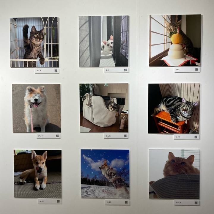 2ba41a70 5b1e 46c0 883e 25a94229de6c 1762149785513