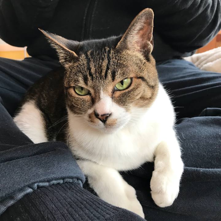 2ba41c00 ec58 4391 9f88 541f60927986 1521767926671