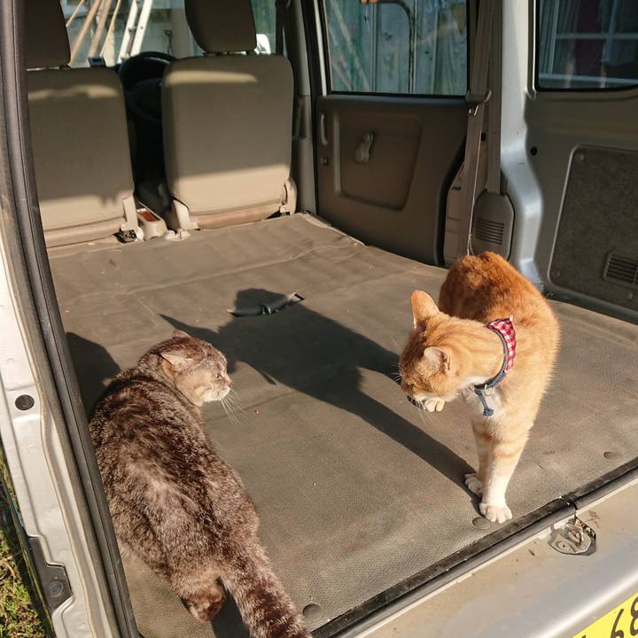 2ba41db6 a0c2 437b aa35 dbe2d8446f32 1558662065919