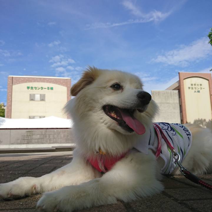 2ba4323e 13f1 460b a1ef fe3fa467b138 1530485196090