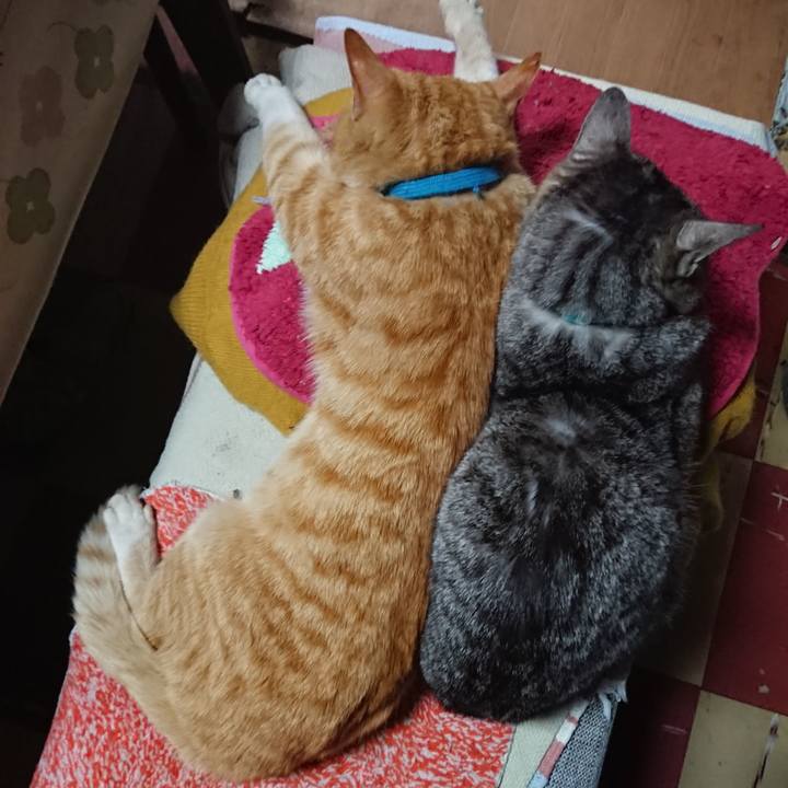 2ba436b1 4922 48fd 95b6 20d022b10436 1556280200650