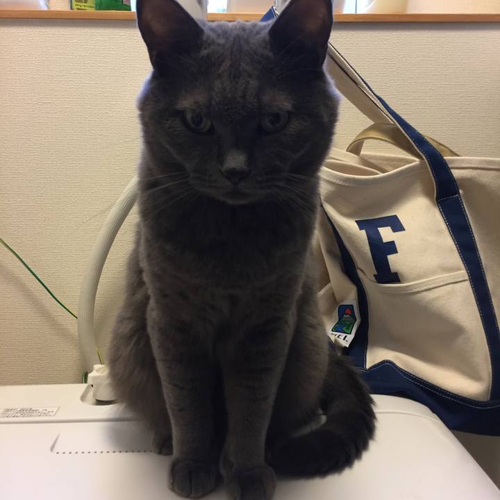 2ba462d4 9524 4d51 979a 52523330693b 1573350883234