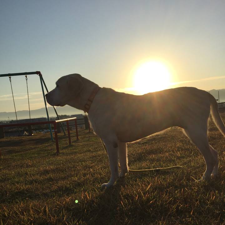 2ba4b11b c84a 40a7 91f9 c680d761f23e 1566955190538