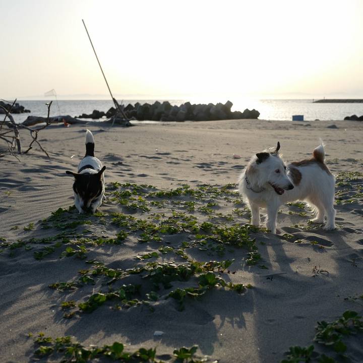 2ba4d24e a830 497f 9272 f552cafcb6f7 1527396086066