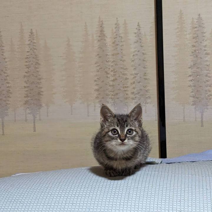 2ba4df40 97bd 498d 9713 483aa41dafb8 1698032974099