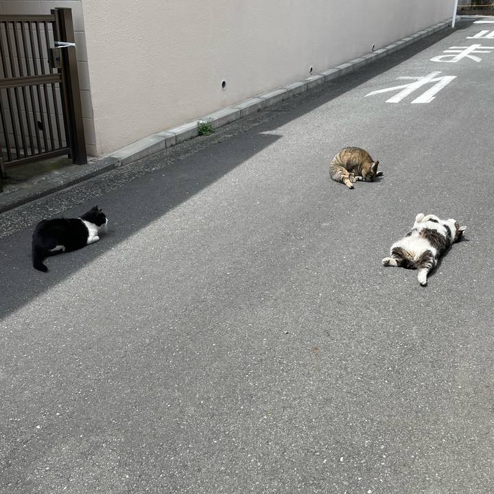 2ba5021a 4535 4287 9211 b7c5b19b3104 1648869972730