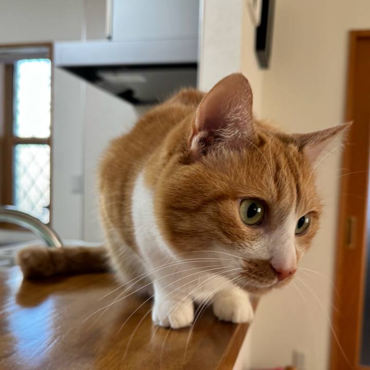 2ba508d1 21db 49c0 b6e5 70929cf9413c 1767914113938