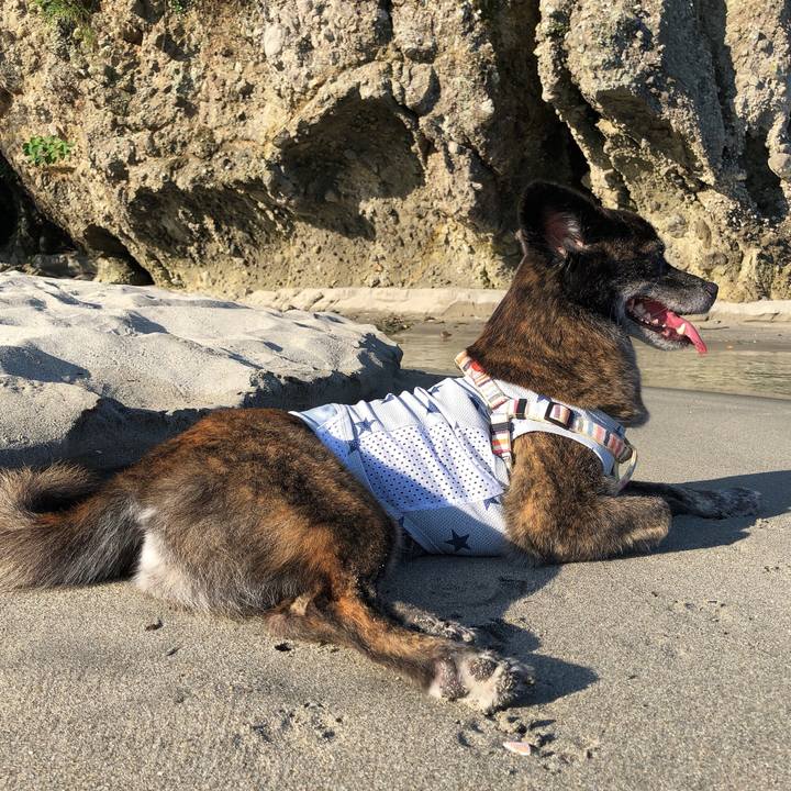 2ba53080 d0f6 4d2a 81ee 2fafa385e449 1597710603738