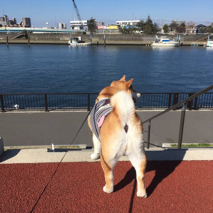 2ba54cda 5817 4a14 a80c 0892f3a724b8 1543117549284