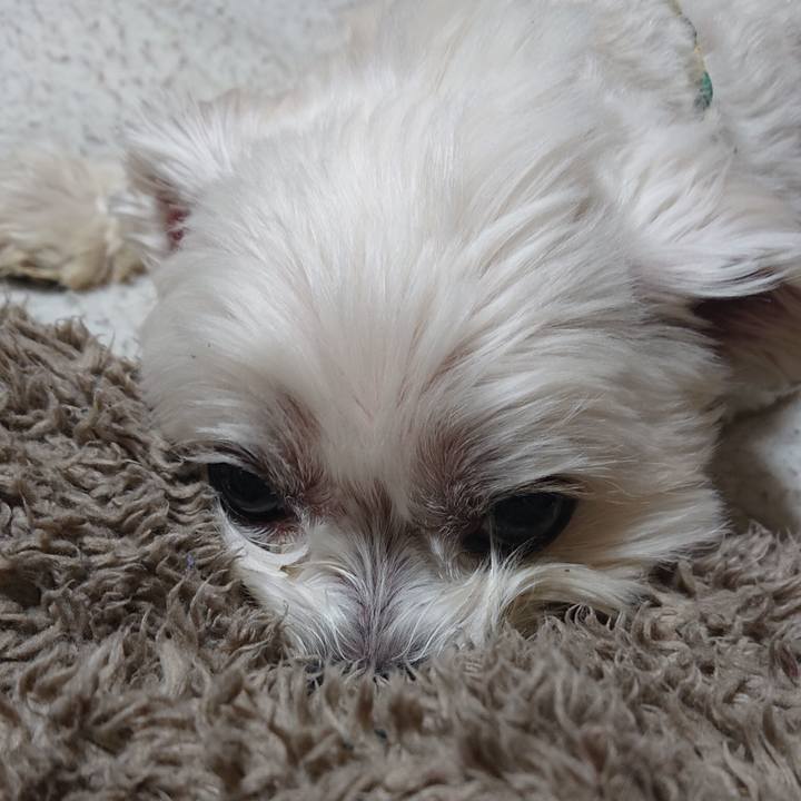 2ba55911 84b8 410e bf09 f0284652c89e 1581600903382