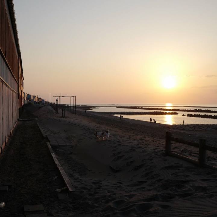 2ba59fb8 1190 4a52 abc9 f8981aac9967 1520223706544