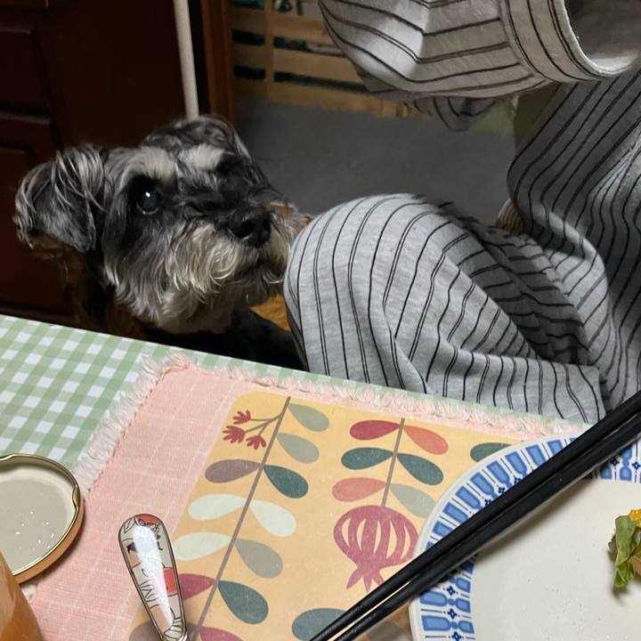 2ba5aadd 9fdb 477d 9dba 42a87696603b 1747563885578