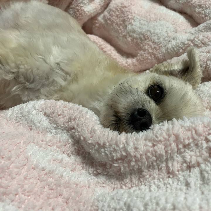 2ba5dbc6 419b 418b 8b5f fc35a556d64a 1636979073079