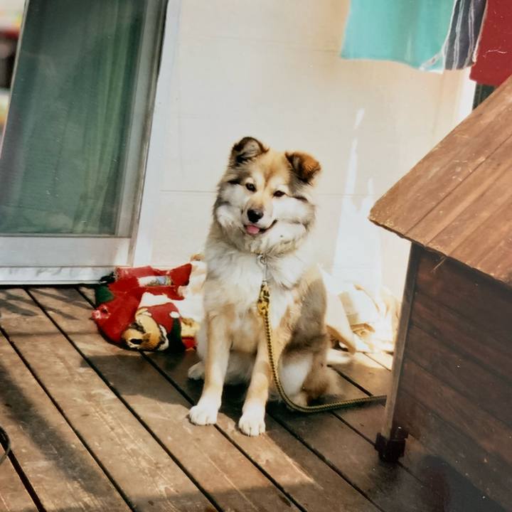 2ba6015b 0e6d 42c5 9c70 09fbc4f471c9 1657350568358