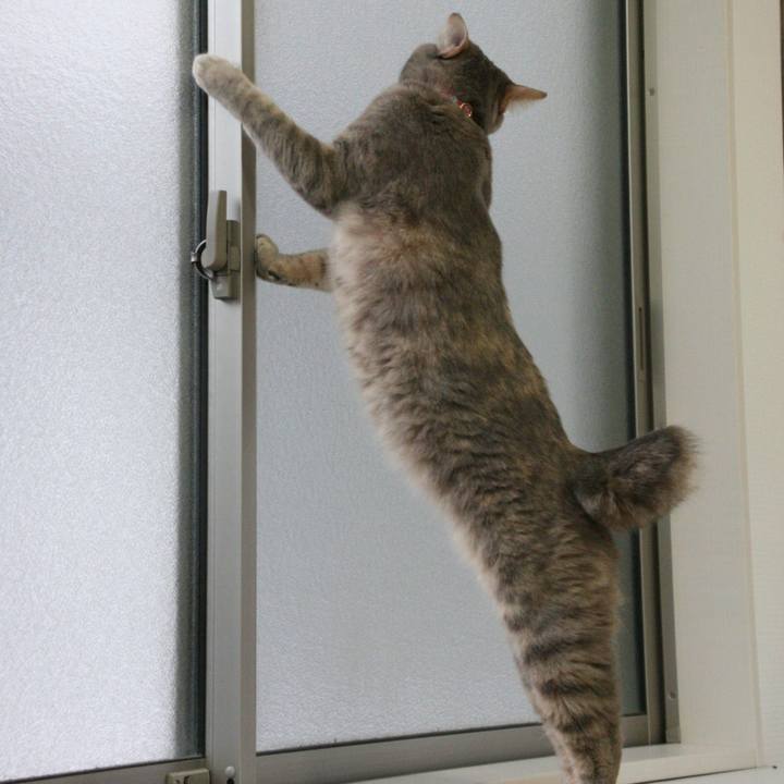 2ba6020f 6847 484d a0a4 c0156ab69ff0 1515981708709