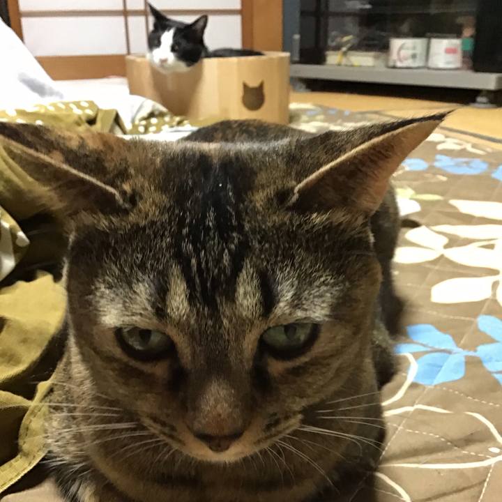 2ba63b76 bff8 4ad5 ac5b 00f70676353e 1734264990595