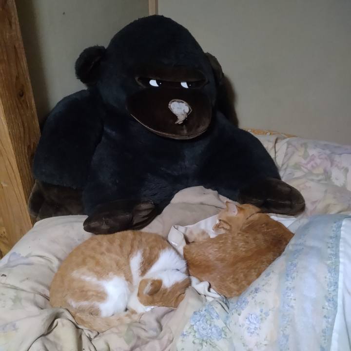 2ba67f12 3407 471f a17c 3c9a6cc1af44 1772277937180