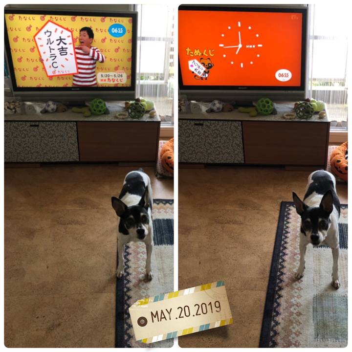 2ba6c2c0 ecf7 4511 838c d79892f3b20b 1558303595431